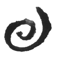 3. CONNECT WITH YOUR BODY