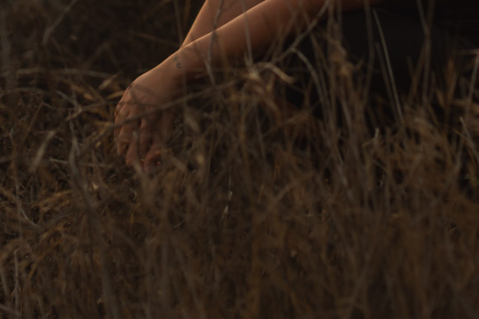 Photography by Sarah Wainright