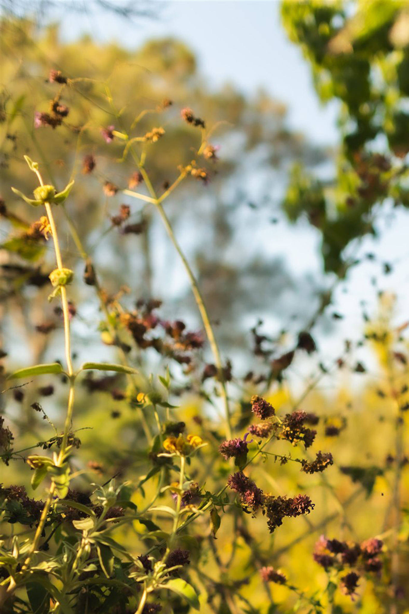 Photography by Sarah Wainright