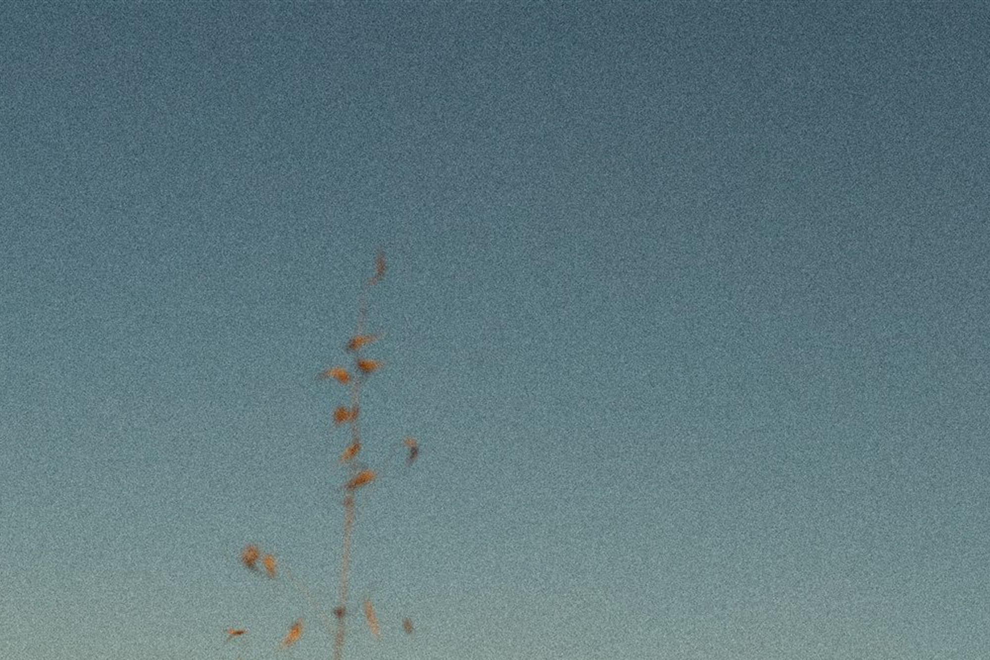 Photography by Sarah Wainright