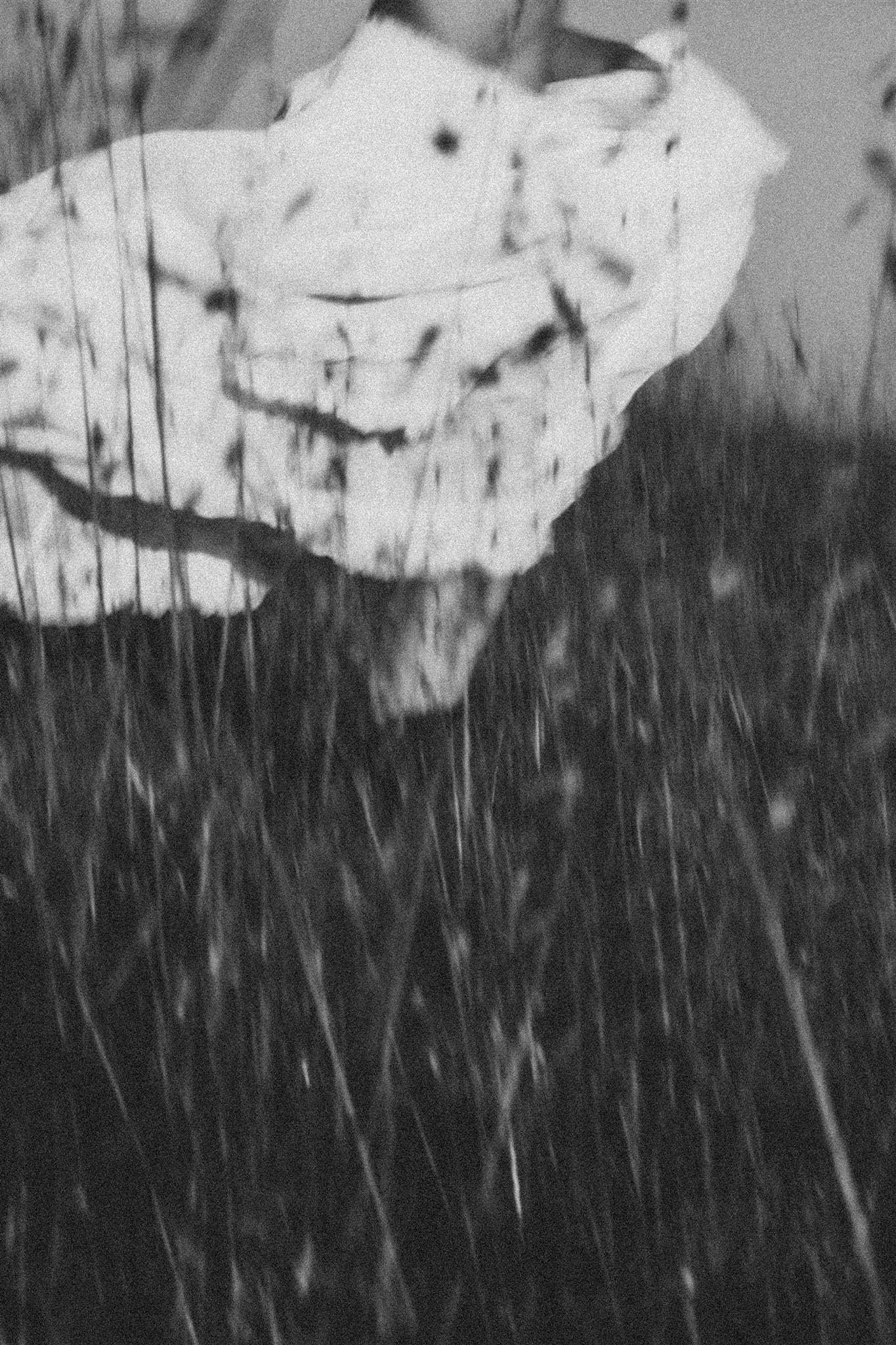 Photography by Sarah Wainright